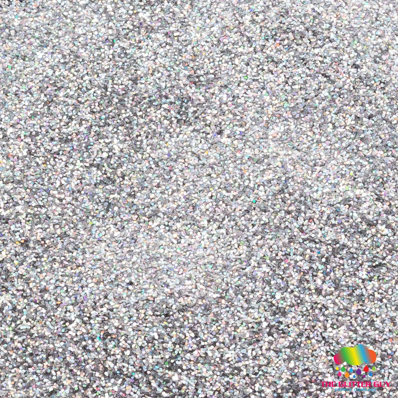Silver Glitter - The Glitter Guy