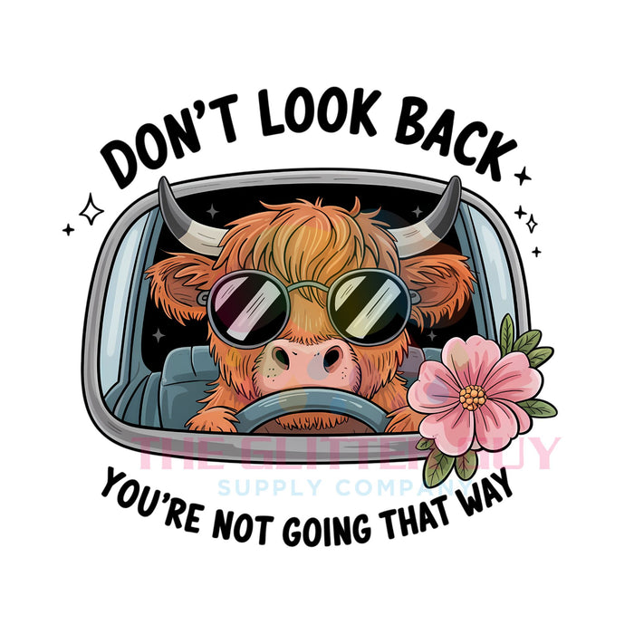 Printed Decal - Don't Look Back