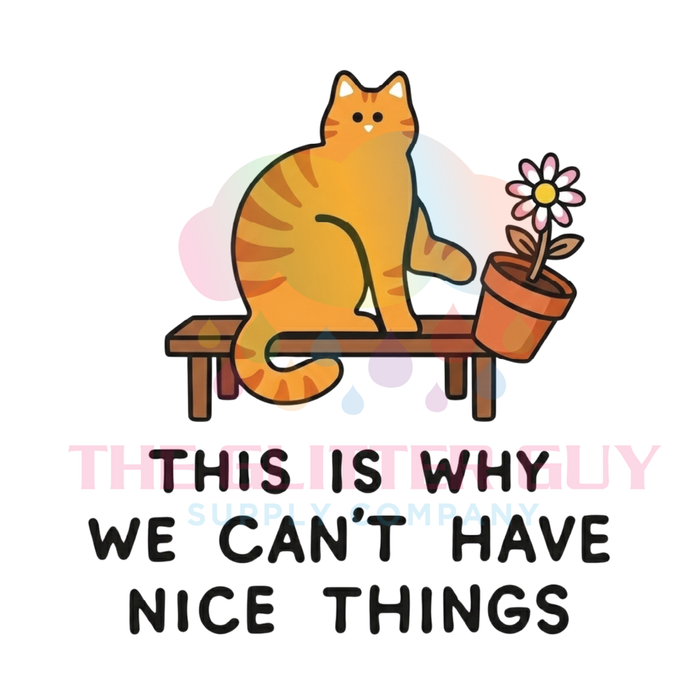 Printed Decal - Can't have Nice Things