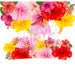 40 oz Tumbler Wrap - UVDTF Ink Transfers - Hibiscus | UVDTF from The Glitter Guy