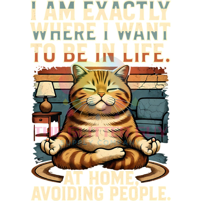 Printed Decal - Exactly Where I Want To Be Cat #662