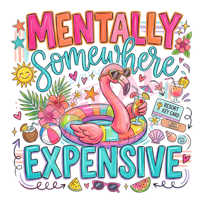 Printed Decal - Mentally Expensive #633
