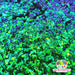 Kelp | Glitter from The Glitter Guy