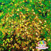 Kush | Glitter from The Glitter Guy