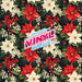 Printed Vinyl - Red and White Poinsettia | Printed Vinyl from The Glitter Guy