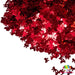 Baby Girl | Glitter Shape from The Glitter Guy