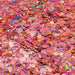 Basic | Glitter from The Glitter Guy