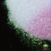 Blue 2 Purple | Glitter from The Glitter Guy