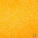 Bodacious | Glitter from The Glitter Guy