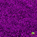 Cheshire | Glitter from The Glitter Guy