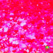 Extract of Llama | Glitter from The Glitter Guy