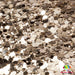 Fool's Gold | Glitter from The Glitter Guy