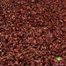 French Press | Glitter from The Glitter Guy