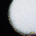 Jawn | Glitter from The Glitter Guy