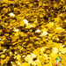 Lannister Gold | Glitter from The Glitter Guy