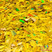 Lightning | Glitter Shape from The Glitter Guy