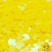 Lil D's | Glitter Shape from The Glitter Guy