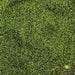 Olive Juice | Glitter from The Glitter Guy