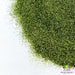 Olive Juice | Glitter from The Glitter Guy