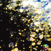 Opal Me Please | Glitter from The Glitter Guy