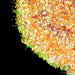 Peach Out | Glitter from The Glitter Guy