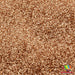 Sands of Time | Glitter from The Glitter Guy