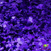 Sea Witch | Glitter from The Glitter Guy