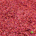 Starfish | Glitter from The Glitter Guy