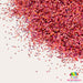 Starfish | Glitter from The Glitter Guy