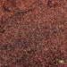 Taco Bell Bottoms | Glitter from The Glitter Guy
