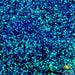 The Great Unknown | Glitter from The Glitter Guy