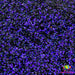 Zurg | Glitter from The Glitter Guy